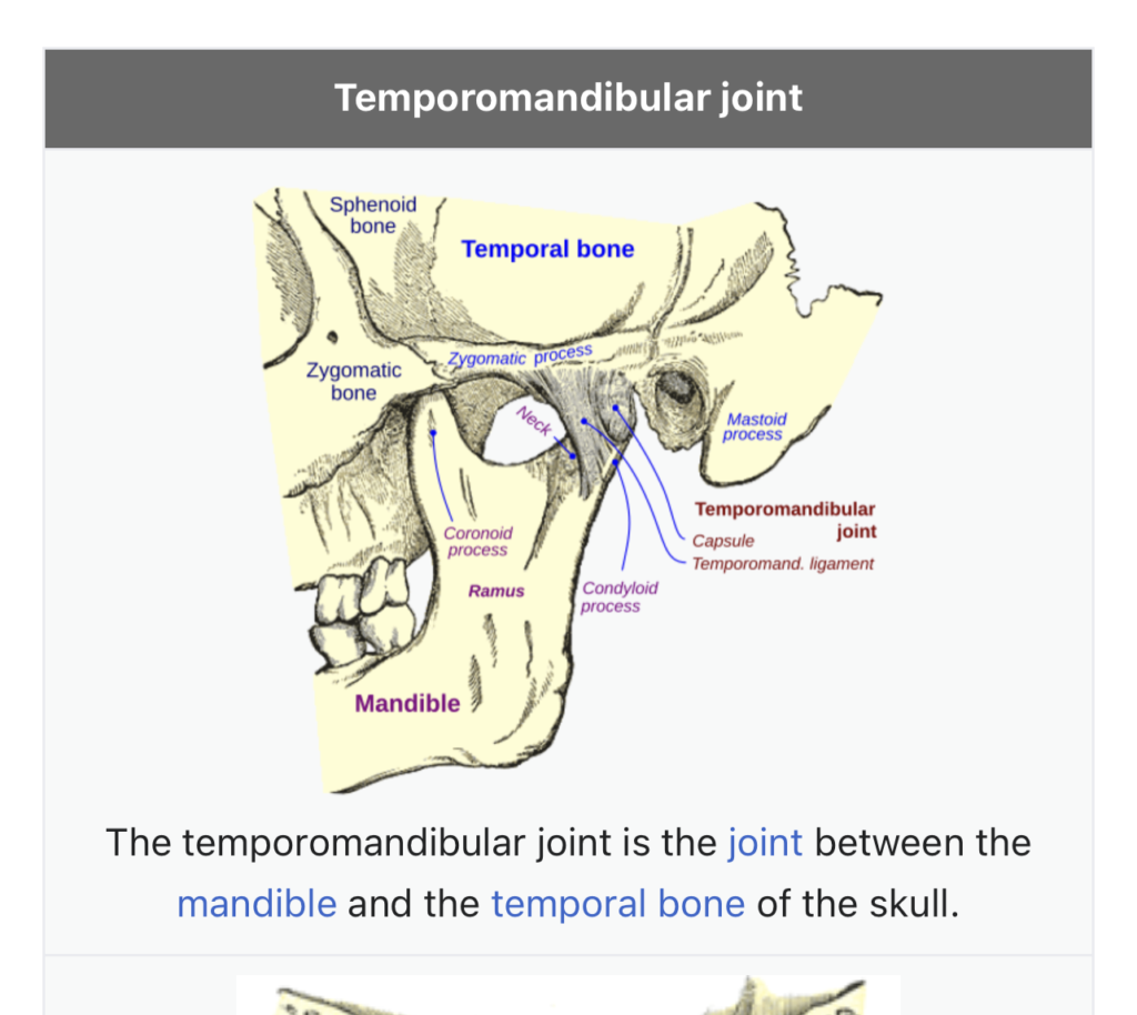 Ear Nose Throat Specialists, PC -  - Ear Nose Throat Specialists, PC -  - TMJ - Dr. Goldberg - TMJ Molds -  - Dr. Goldberg - TMJ Molds - 