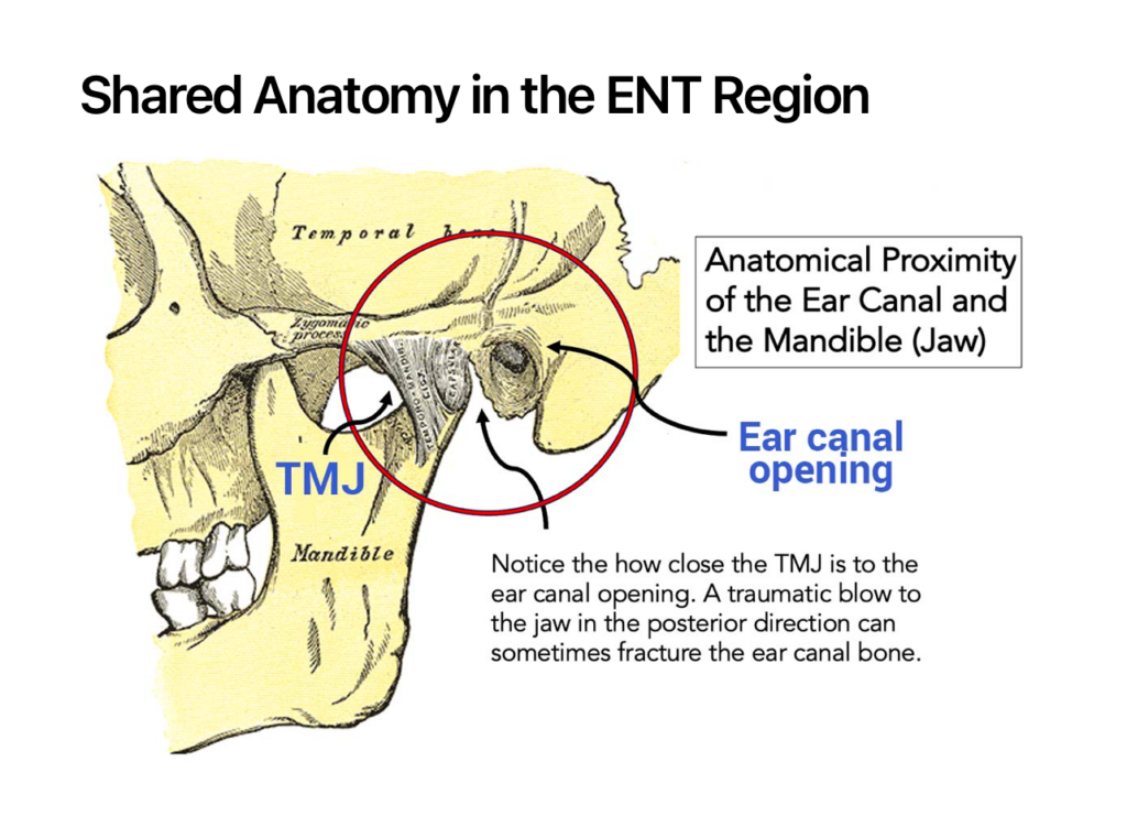 Ear Nose Throat Specialists, PC -  -  - Dr. Goldberg - TMJ Center Near You | Jaw Pain and TMJ Disorder Treatment - 