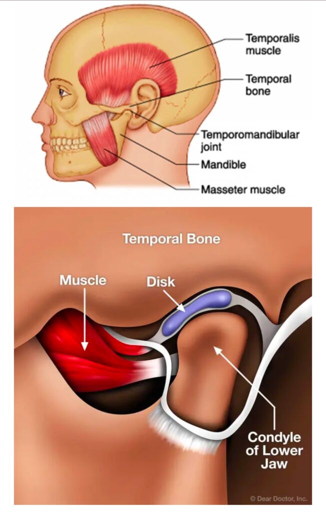 Ear Nose Throat Specialists, PC -  -  - Dr. Goldberg - TMJ Center Near You | Jaw Pain and TMJ Disorder Treatment - 