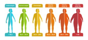 BMI calculator