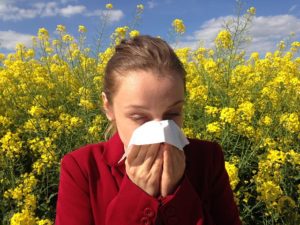 Ear Nose Throat Specialists, PC -  - allergies or a cold - Dr. Goldberg - Is It Allergies or a Cold? How To Tell. - 